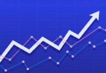 Performance : FX Signal Paid Service FX Signal Paid Service