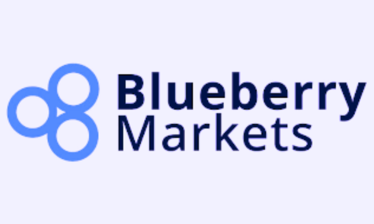 Expert Reviewers Give Blueberry Markets High Marks for User-Friendly Platform and Customer Support
